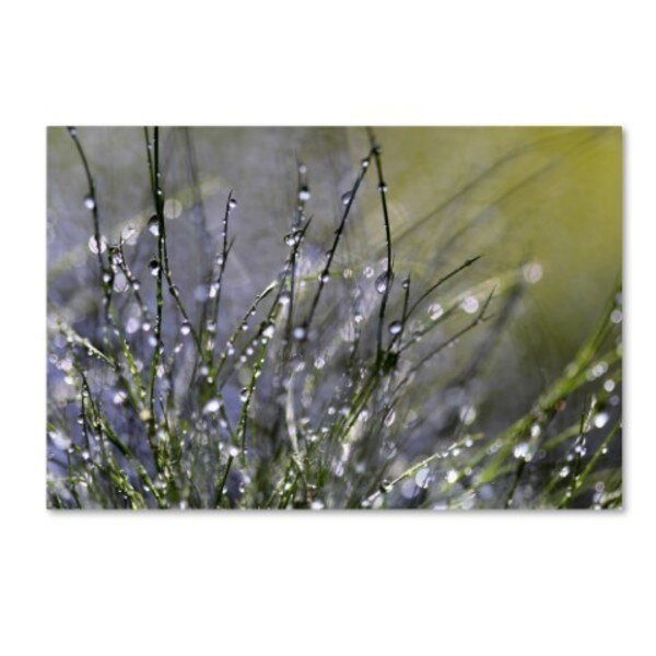 Beata Czyzowska Young 'Spring Morning' Canvas Art, 12x19, Trademark Fine Art, Mfr#: BC0276-C1219GG